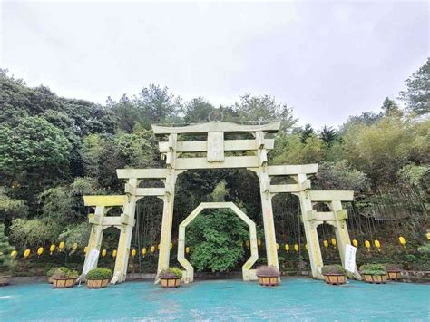 禪機山 仙佛寺|【禪機山仙佛寺】南投國姓日式風情廟宇美麗又好拍!!